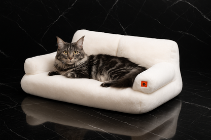Canapé prémium pour chat